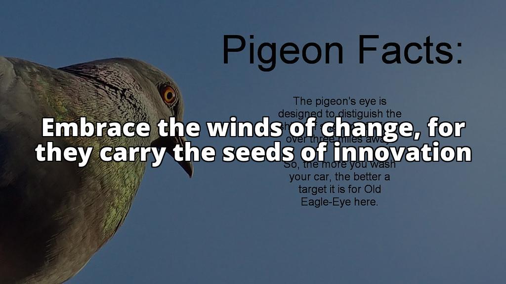 The Ultimate Guide to Google Pigeon: Elevate Your Local Search Rankings